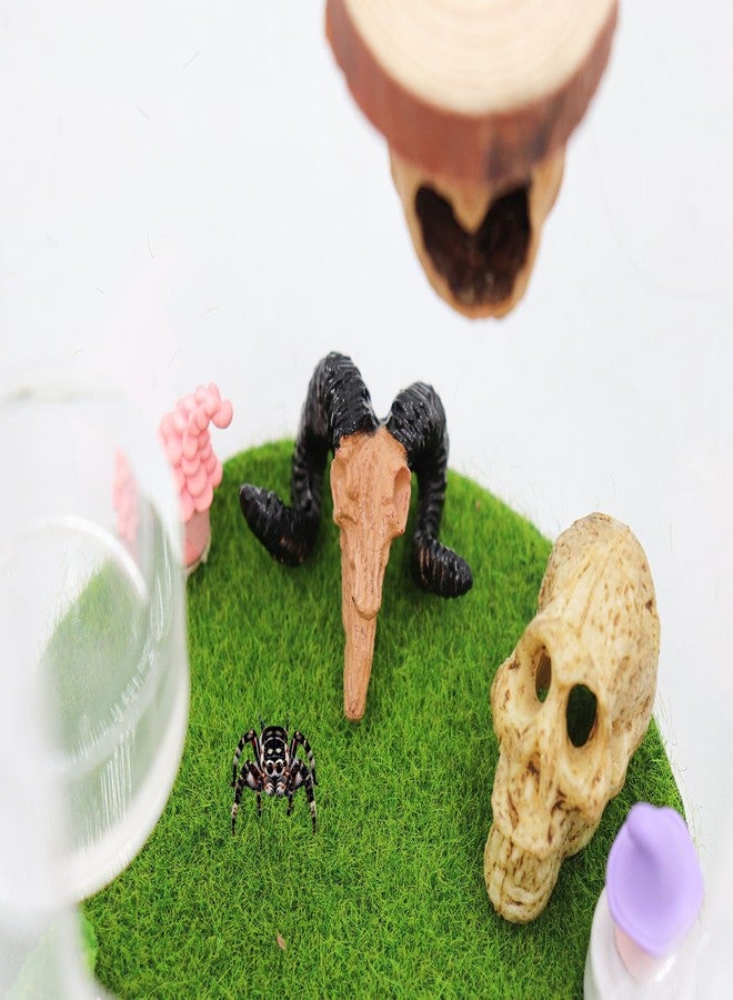 Oooct 8 Pcs Mini Animal Skull Statues - Realistic Resin Skeleton Head Decor for Reptile Habitat, Aquarium, Terrarium Tank Accessories for Bearded Dragons, Geckos, Lizards, Halloween Christmas Crafts - Image 4